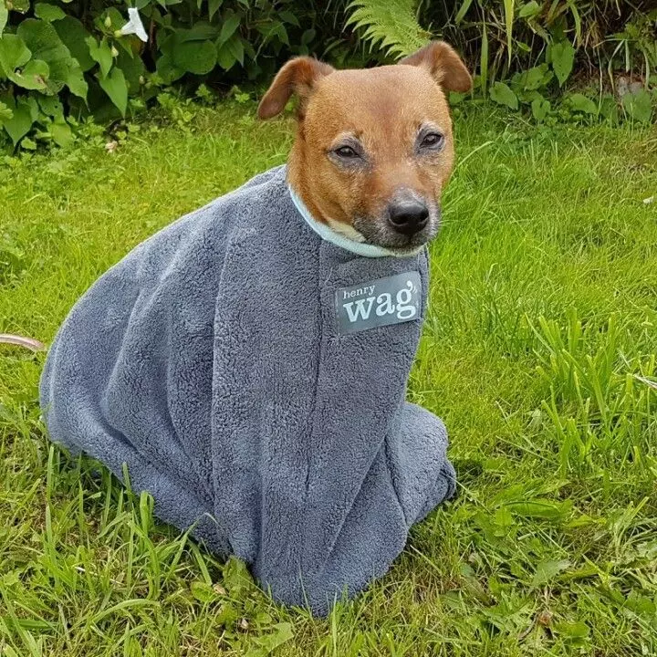 Henry Wag Drying Bag