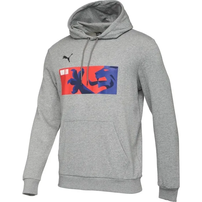 Puma TEAMGOAL 23 CAUSALS HOODY