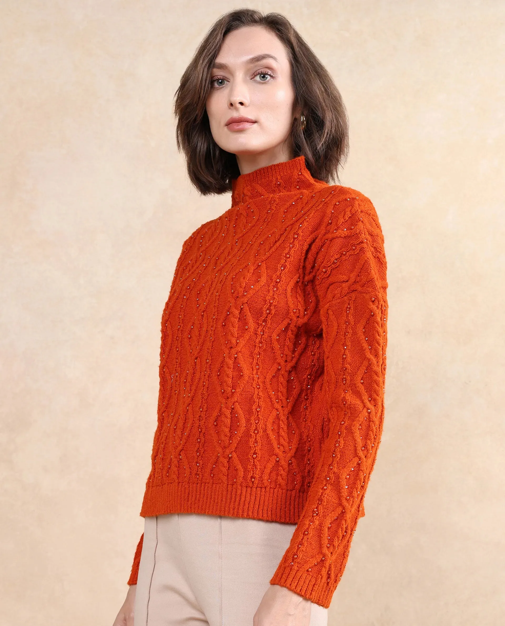 Rareism Women Osmaniye Rust Plain Sweater