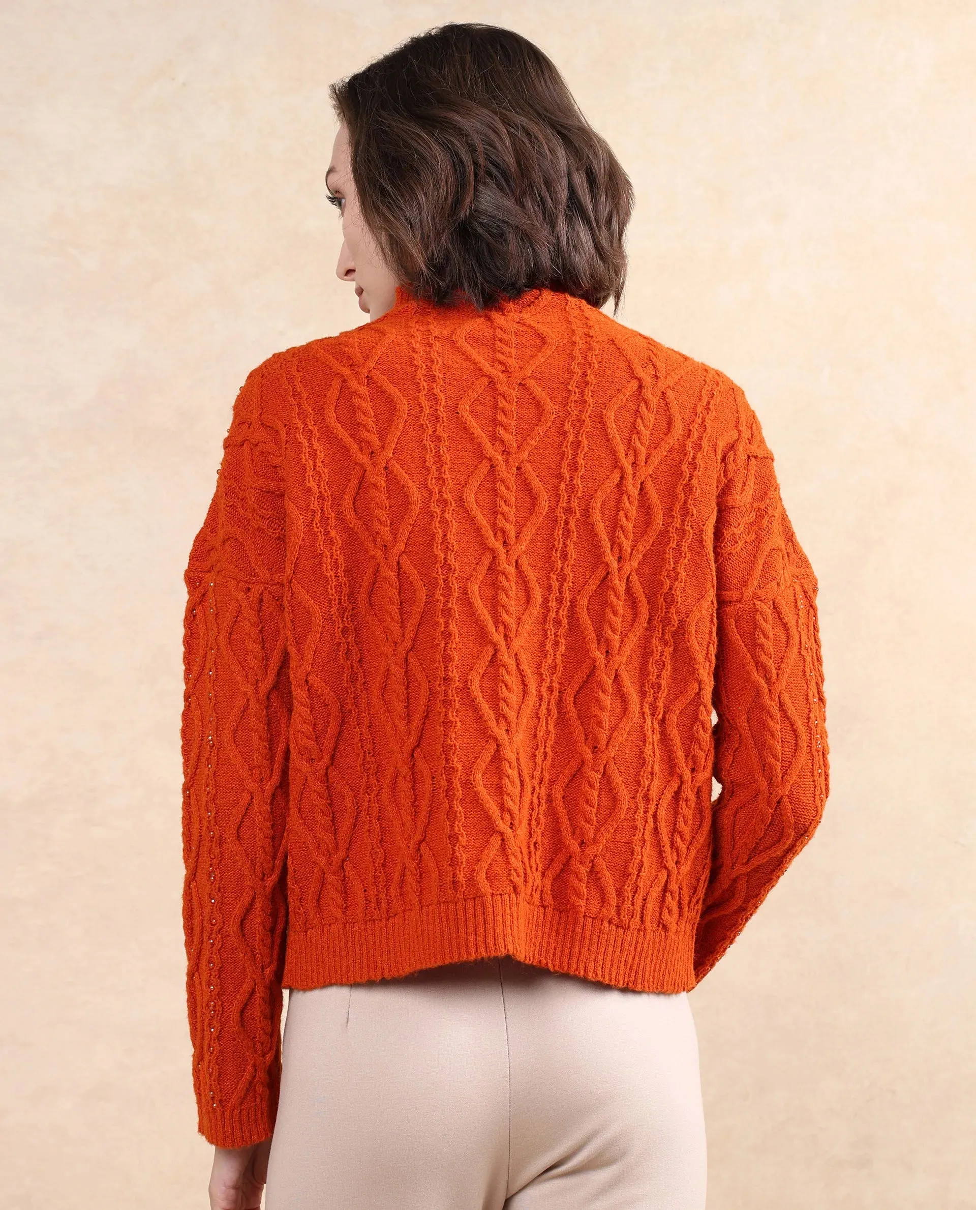 Rareism Women Osmaniye Rust Plain Sweater