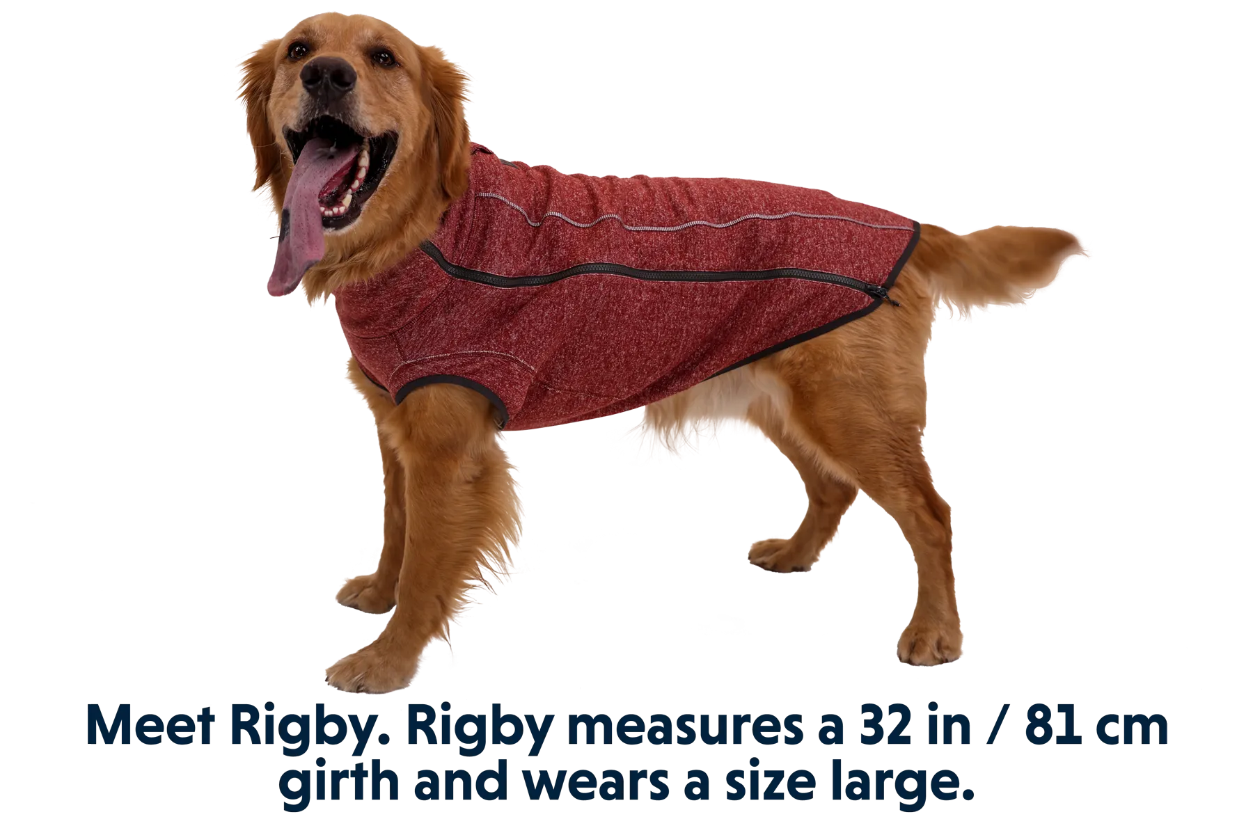 RP - Hemp Hound Dog Sweater