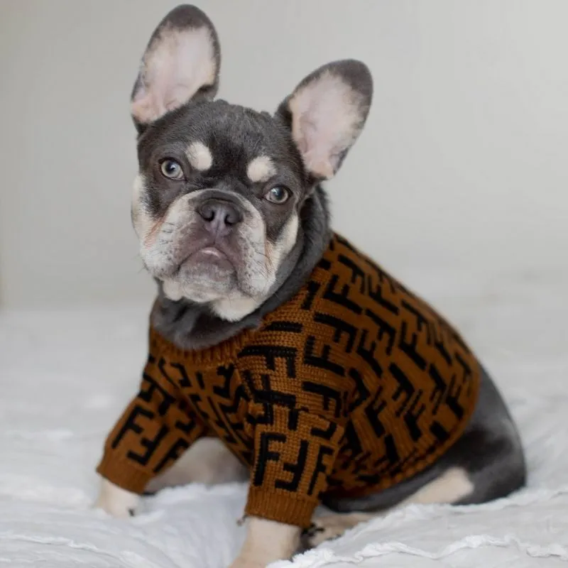 Signature Furdi Turtleneck Sweater for Dogs and Cats | Petiboo